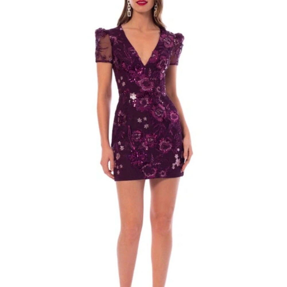Helsi Dress Purple Sara Floral Embroidered Sequin Mini Small